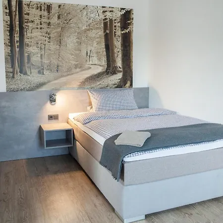 Casa de hóspedes Dalinghaus 3*