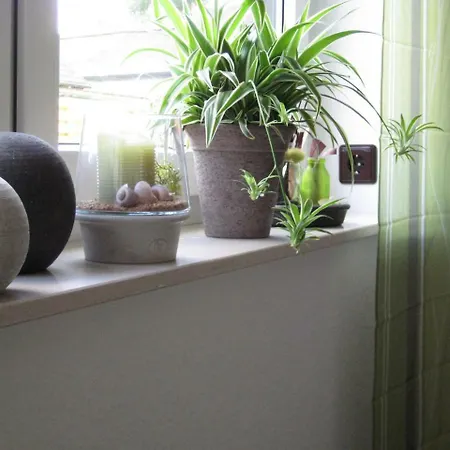 Gæstehus Dalinghaus